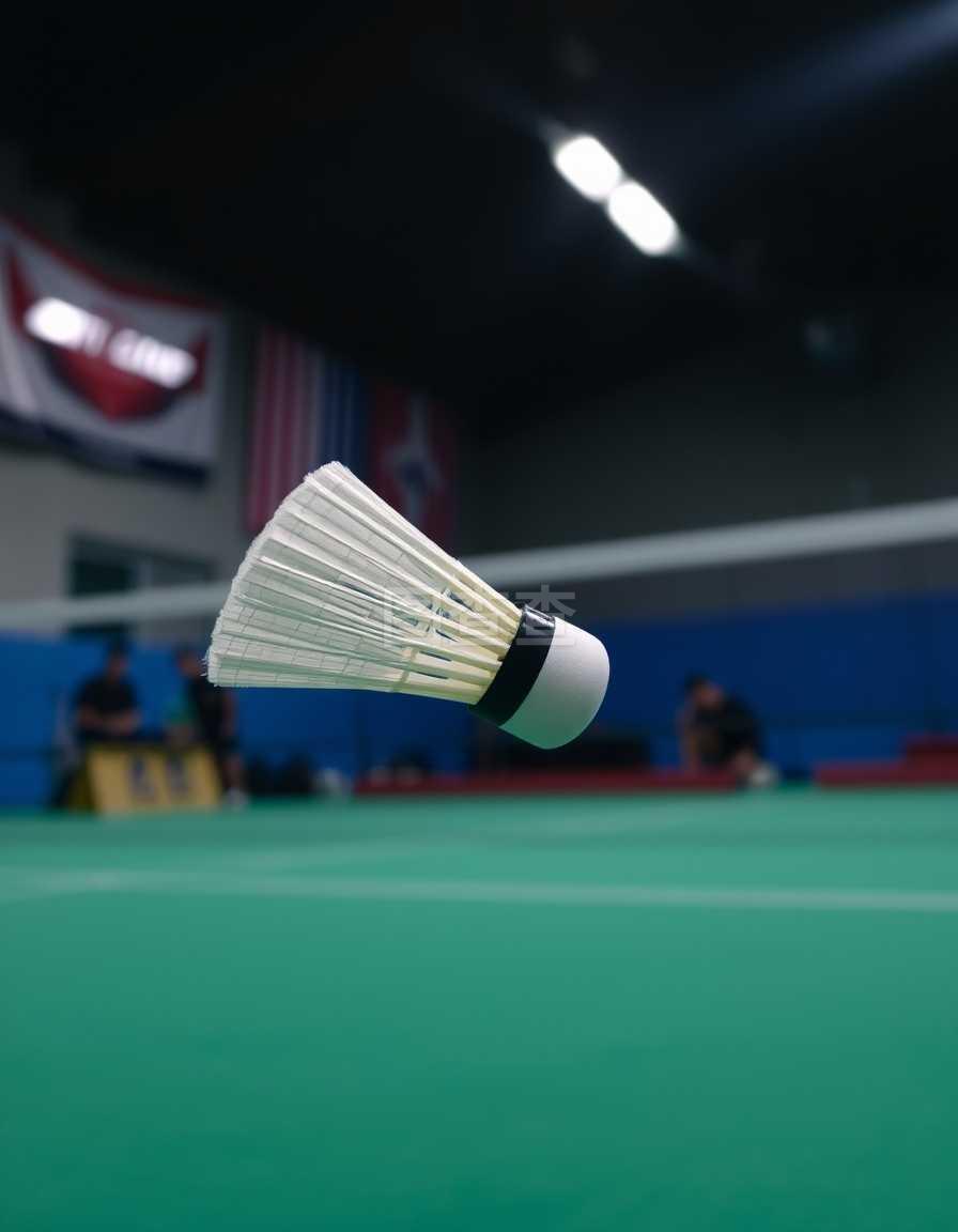 上的不竭动 上的不竭动